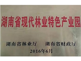 湖南省现代林业特色产业园
