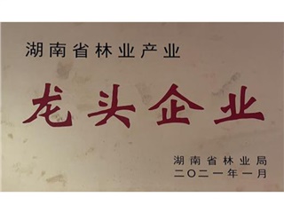 湖南省林业产业龙头企业